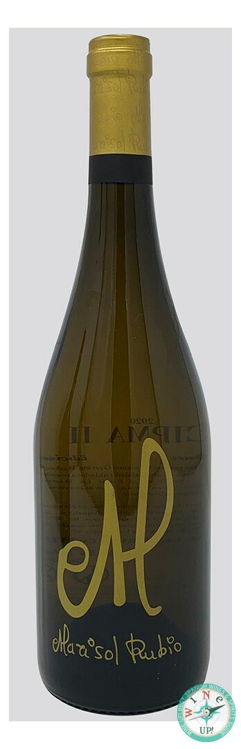 MARISOL RUBIO CIPMA II 2021